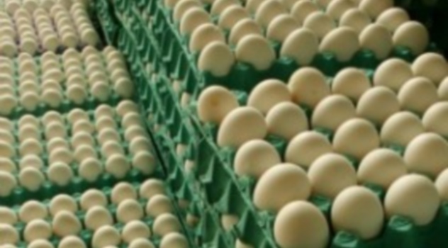 huevos