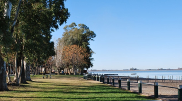 lob costanera