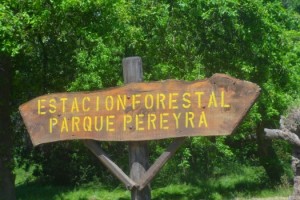 lob estacion forestal