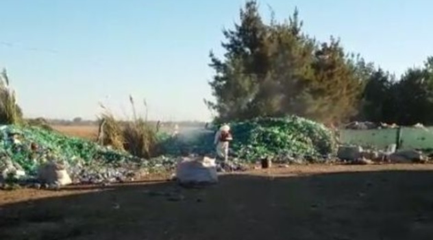 lob fumigación