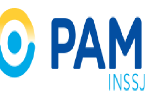 logo_pami