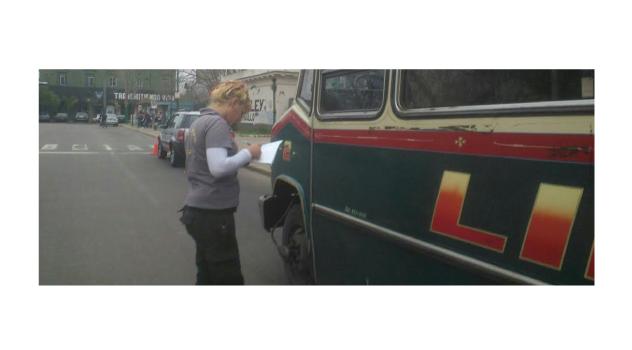 lz  controles trans publico