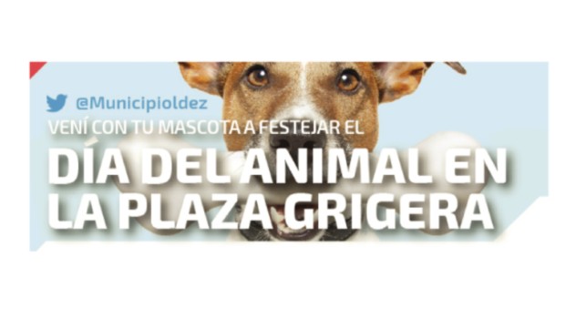 lz dia de animal