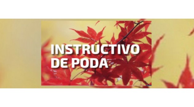 lz instructivo poda