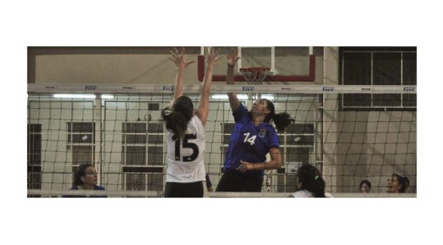 lz voley fem