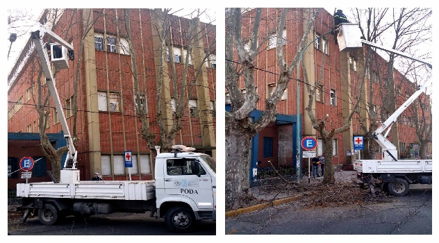 mgp Poda materno infantil