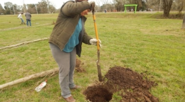 mp dia arbol