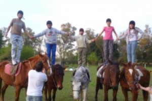 mp equitacion