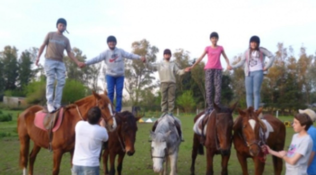mp equitacion