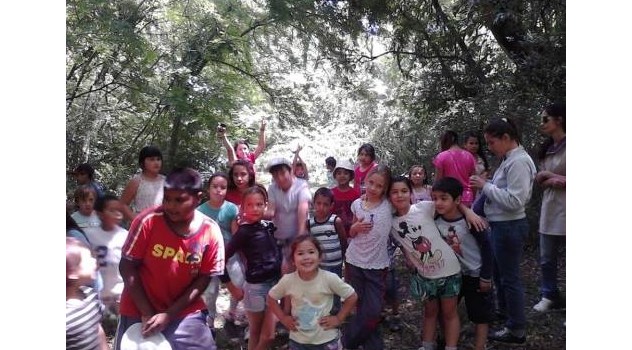 mp fiesta