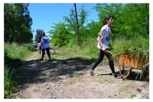 mp jorn solidaria 10-11