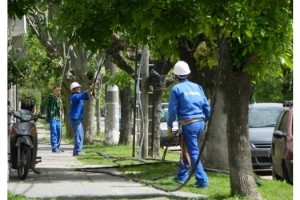 mp nvas obras