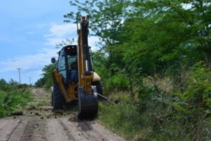 mp obras y servicios 20-1