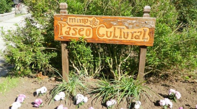 mp paseo cult bernardoni 3
