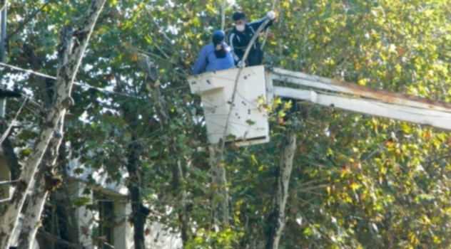 mp plan forestaL
