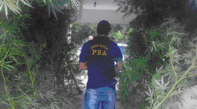 ms MARIHUANA VERÓNICA 2 (1)