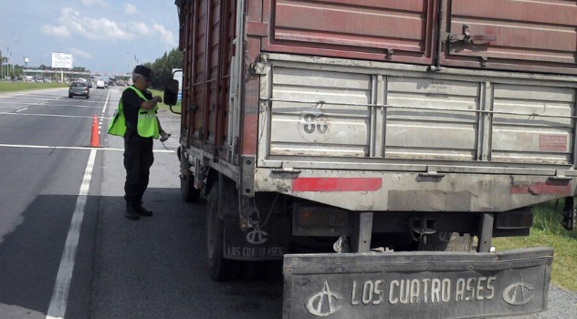 ms camionero borrcho (1)