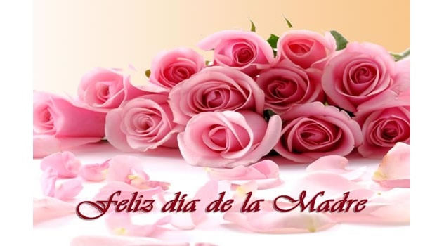 nav Dia-de-la-madre-559