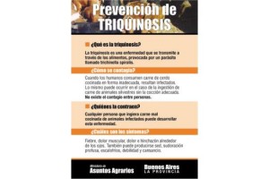 nav TRIQUI_1 (1)