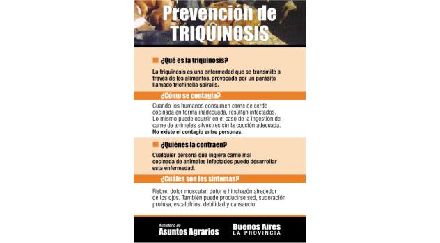 nav TRIQUI_1 (1)
