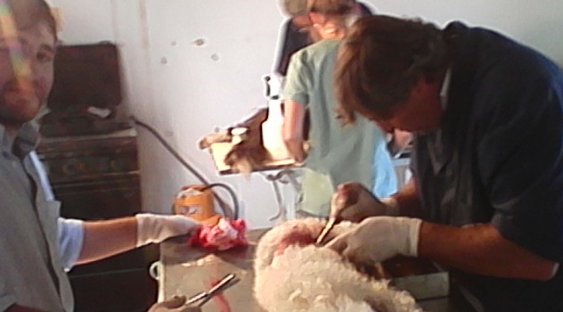 nav anim cstrados (2)