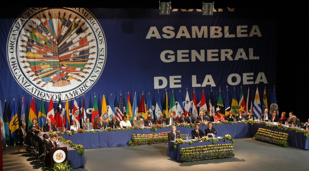 oea (1)