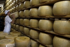 oea baja pcios alimentos