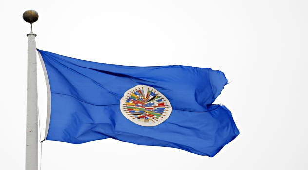 oea-bandera