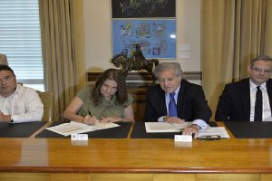oea c peru