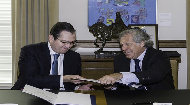 oea elecc mexico