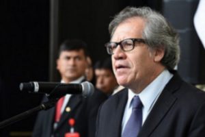 oea luis almagro