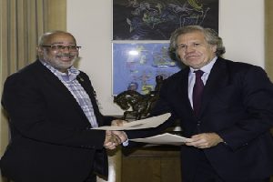 oea oecs DESARROLLO