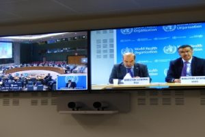 onu yemen hambruna