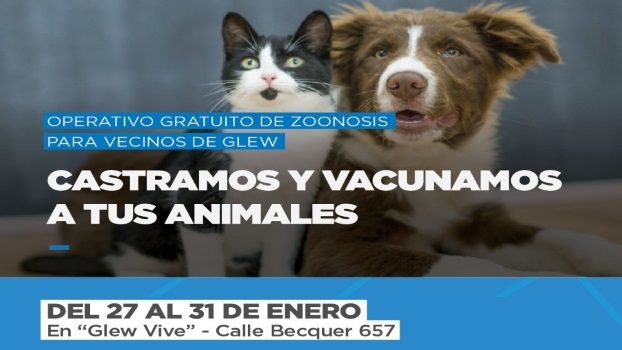 perro
