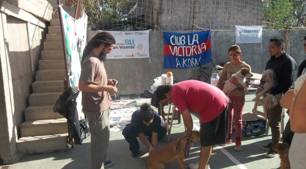 sv castrac y vacunac (2)