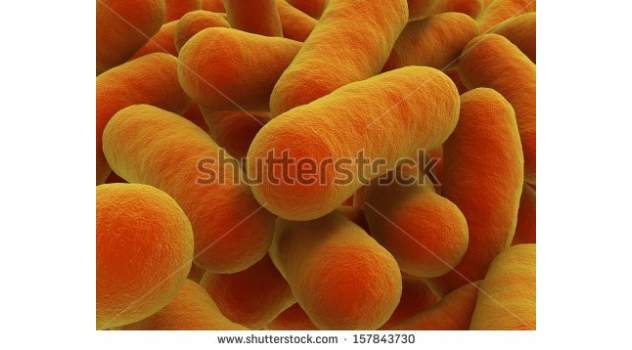 vas tuberculosis