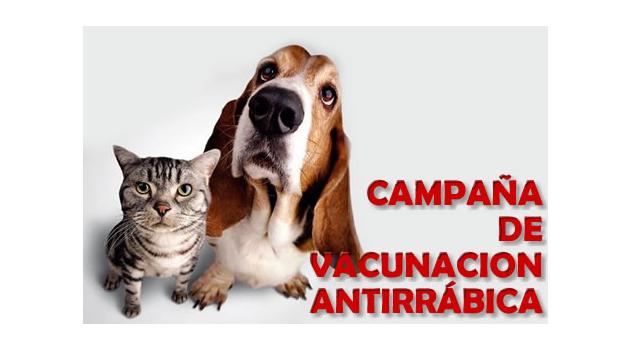 vs Vacunacion-antirrabica