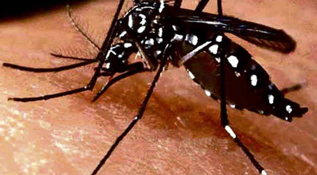 zika,